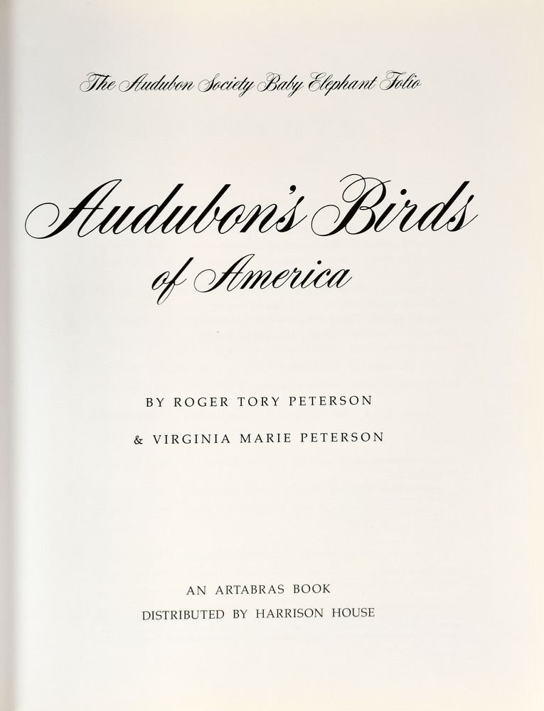 Audubon's Birds of America - Image 4