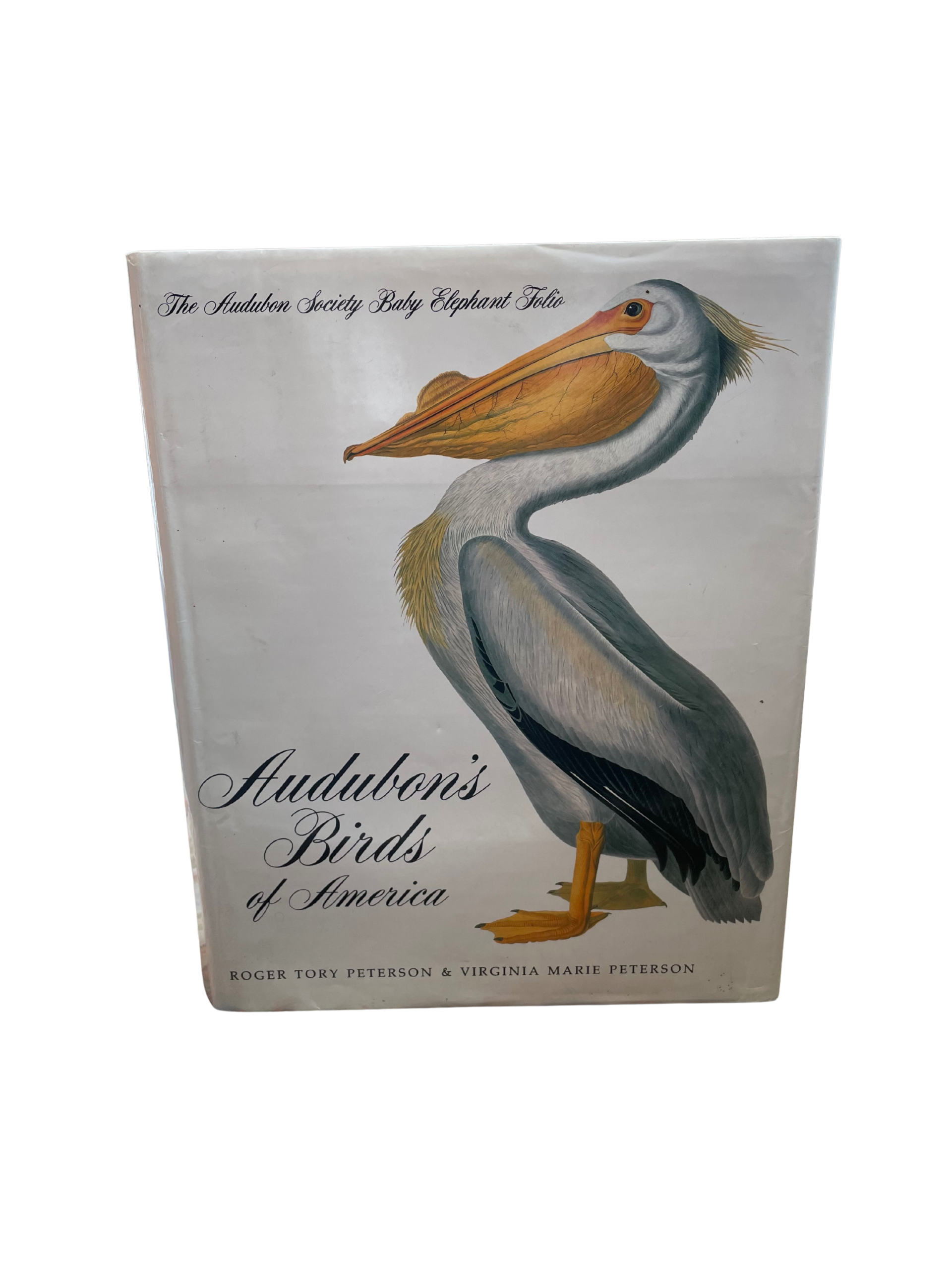 Audubon's Birds of America